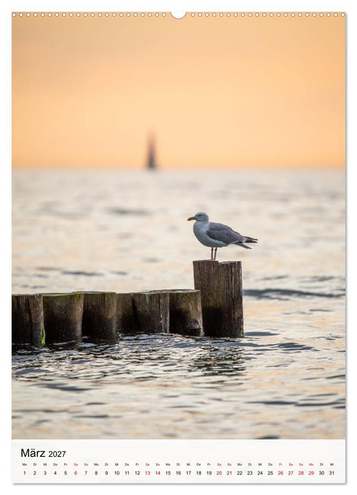 Fischland-Darß-Zingst - Im Licht des Nordens (CALVENDO Premium Wandkalender 2027)