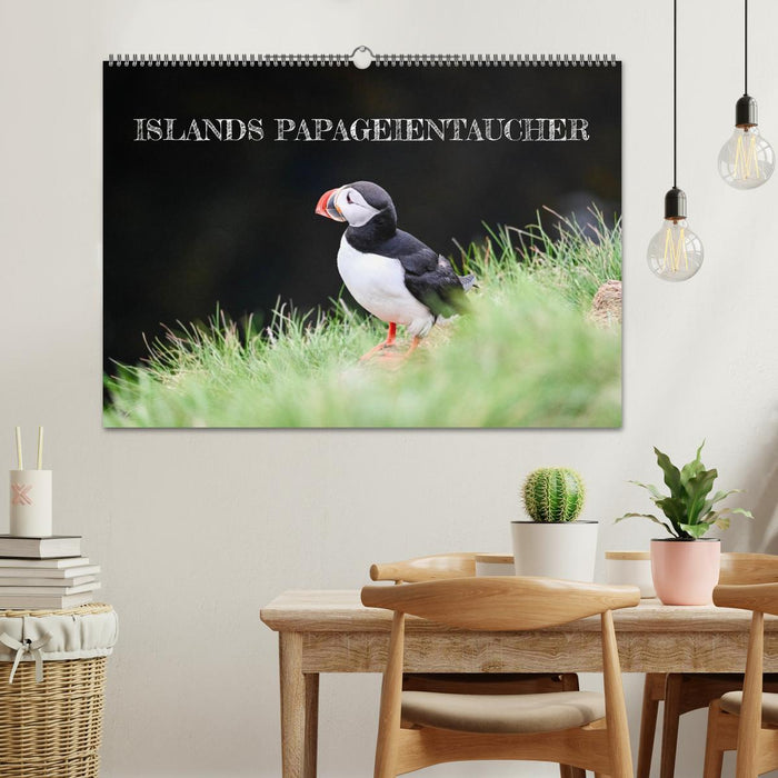 Islands Papageientaucher (CALVENDO Wandkalender 2027)