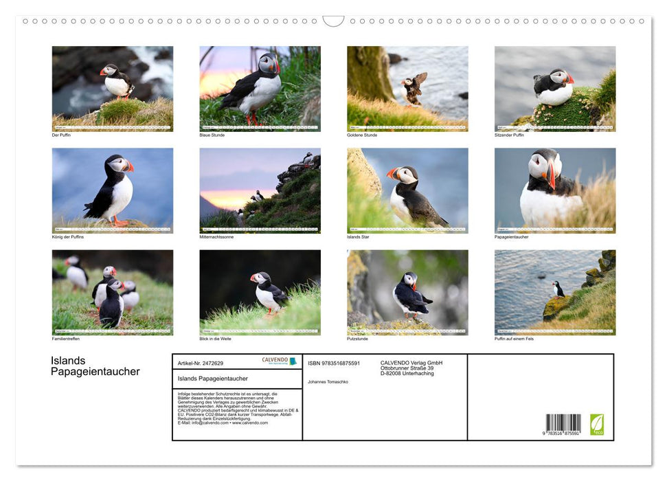 Islands Papageientaucher (CALVENDO Wandkalender 2027)