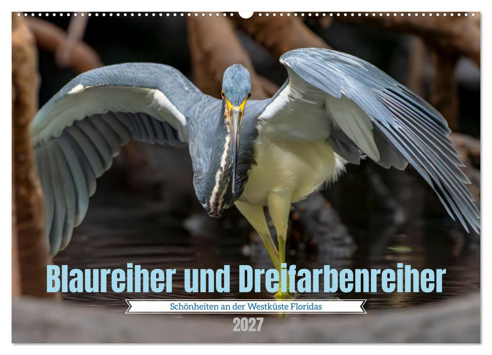 Blaureiher und Dreifarbenreiher (CALVENDO Wandkalender 2027)