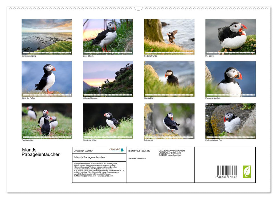 Islands Papageientaucher (CALVENDO Premium Wandkalender 2027)