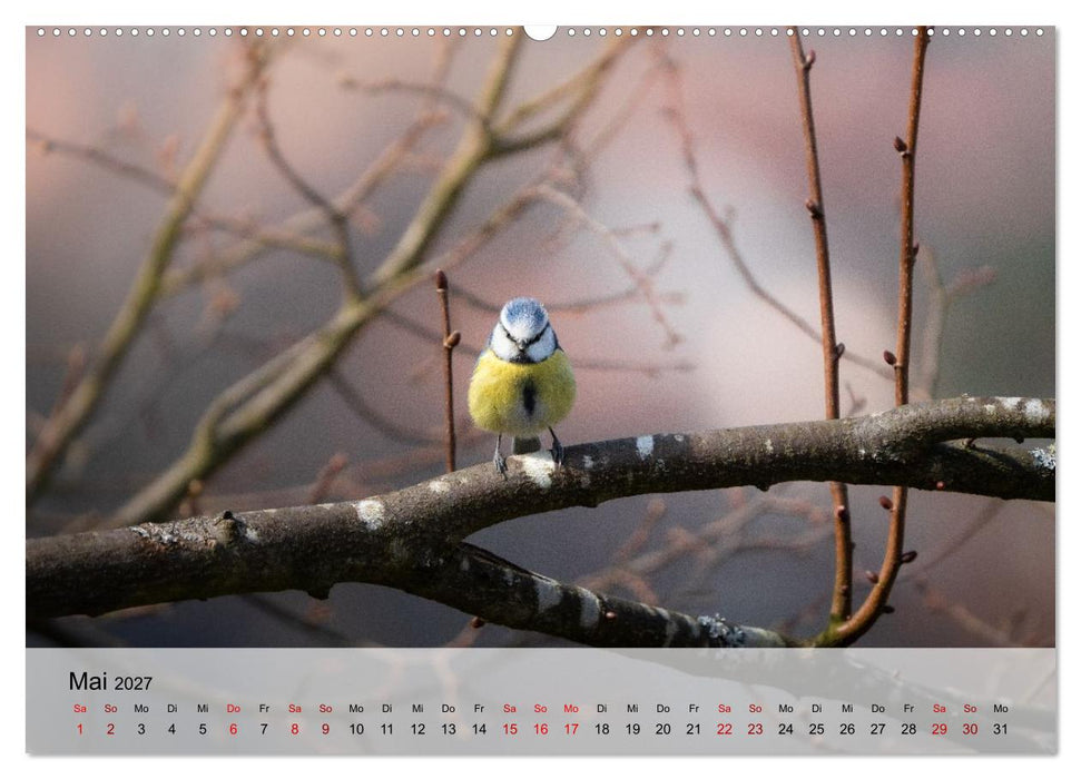 Magische Tiermomente (CALVENDO Wandkalender 2027)