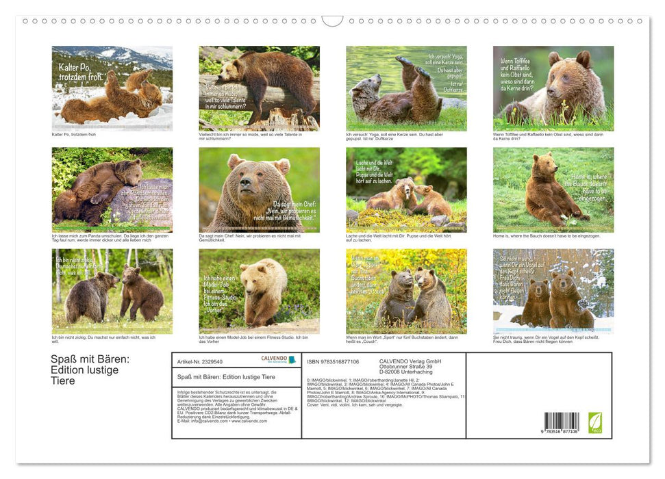 Spaß mit Bären: Edition lustige Tiere (CALVENDO Wandkalender 2027)
