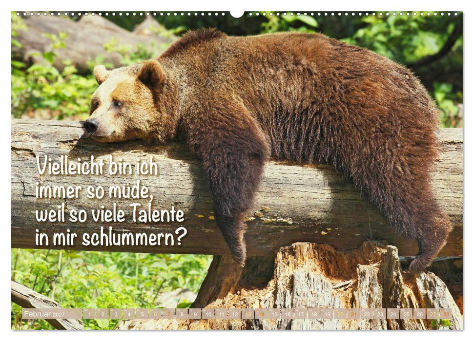 Spaß mit Bären: Edition lustige Tiere (CALVENDO Wandkalender 2027)