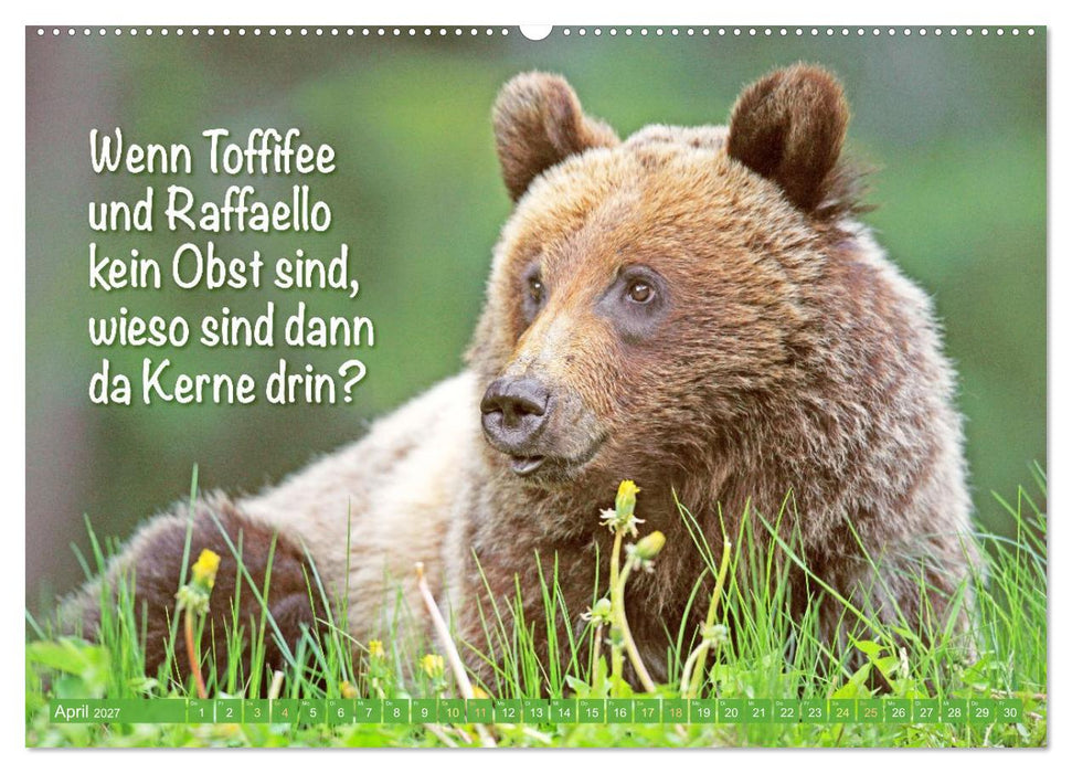 Spaß mit Bären: Edition lustige Tiere (CALVENDO Wandkalender 2027)