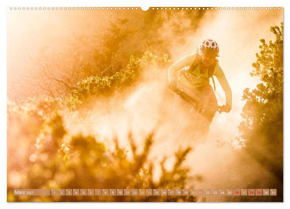 Mountainbike: Über Stock und Stein (CALVENDO Wandkalender 2027)