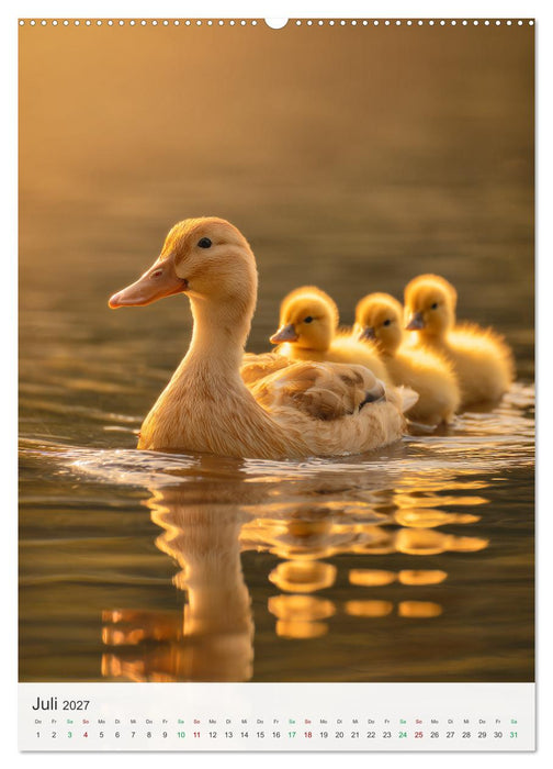Tiermotive zum Verlieben (CALVENDO Premium Wandkalender 2027)