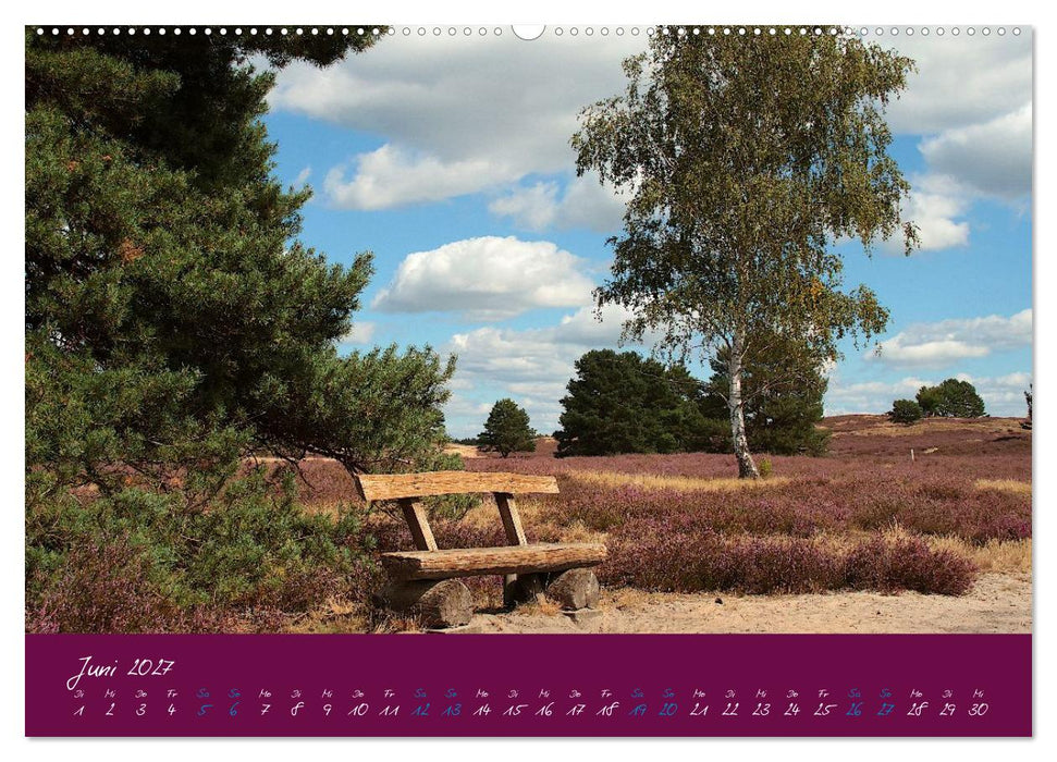 Die Nemitzer Heide - Im Wendland unterwegs (CALVENDO Premium Wandkalender 2027)