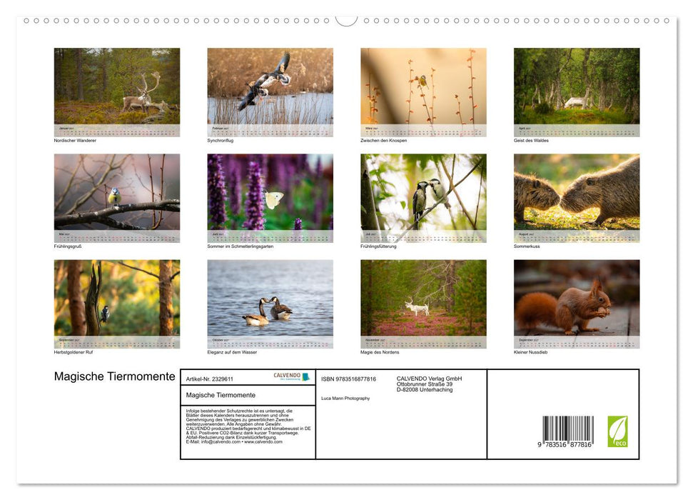 Magische Tiermomente (CALVENDO Premium Wandkalender 2027)