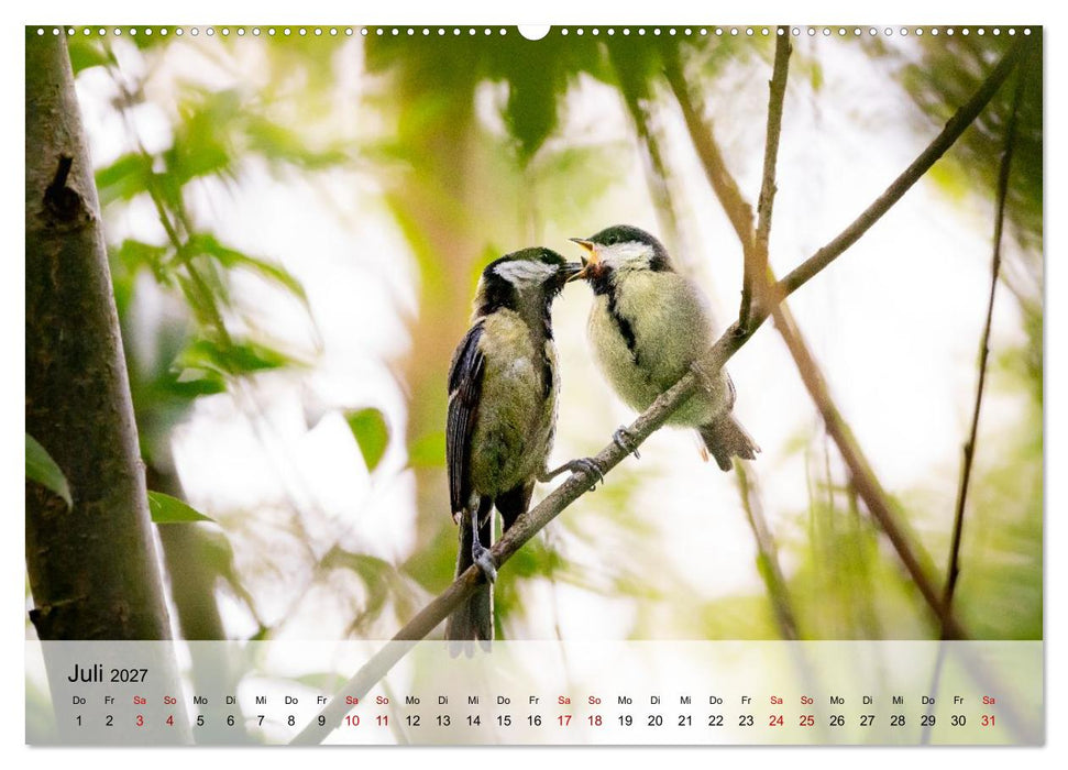 Magische Tiermomente (CALVENDO Premium Wandkalender 2027)