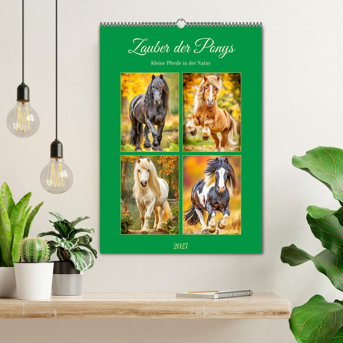 Zauber der Ponys. Kleine Pferde in der Natur (CALVENDO Wandkalender 2027)