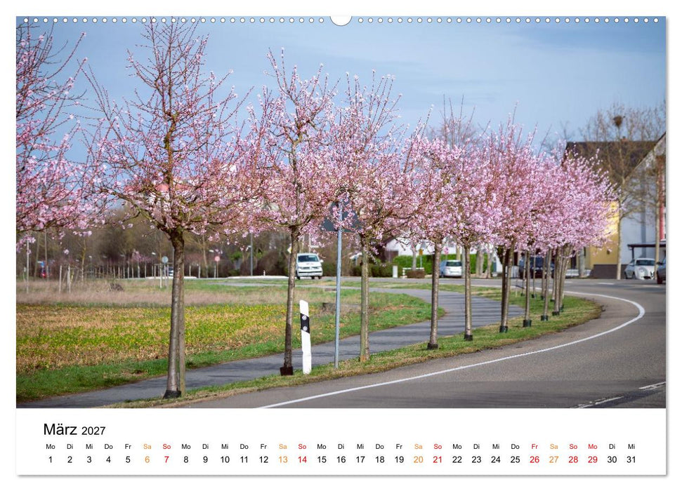 Die Hufeisengemeinde Brühl (CALVENDO Premium Wandkalender 2027)