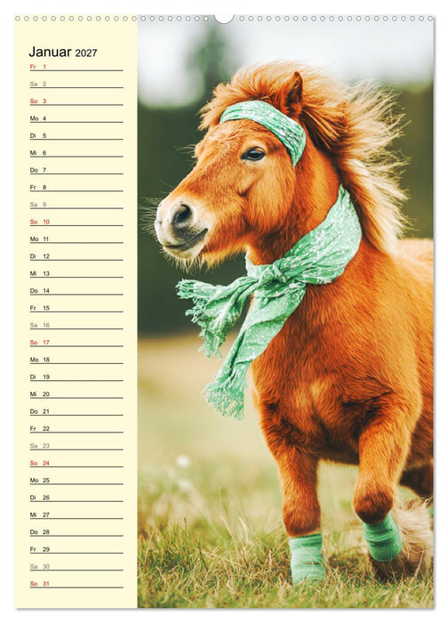 Zauber der Ponys. Kleine Pferde in der Natur (CALVENDO Premium Wandkalender 2027)