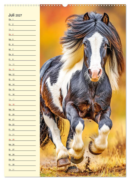 Zauber der Ponys. Kleine Pferde in der Natur (CALVENDO Premium Wandkalender 2027)