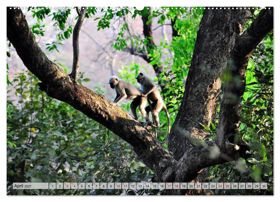 Uttarakhand – Land der Götter (CALVENDO Premium Wandkalender 2027)