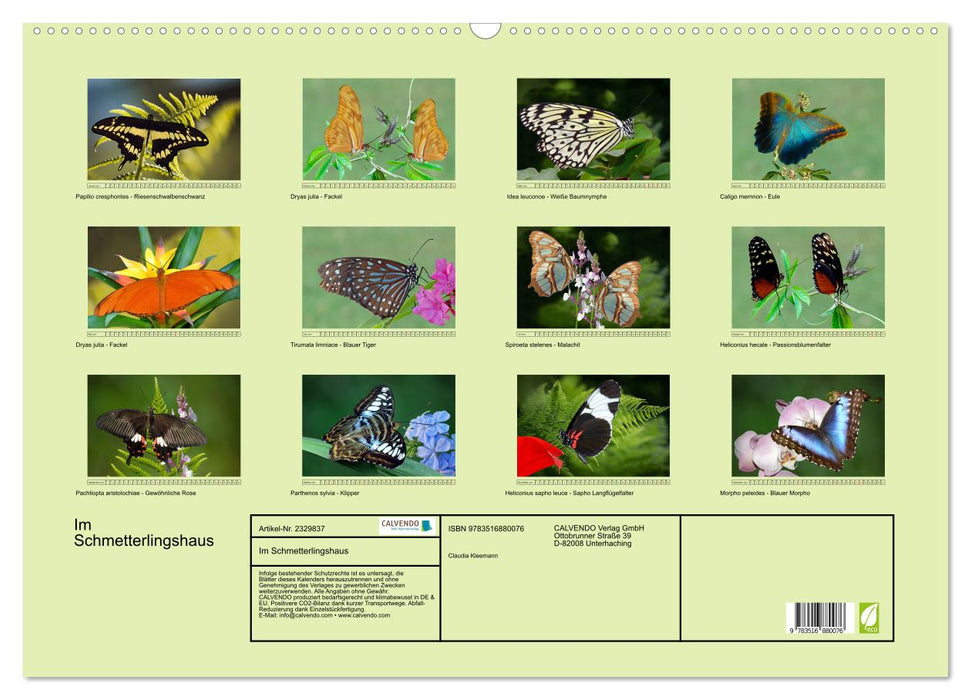 Im Schmetterlingshaus (CALVENDO Wandkalender 2027)