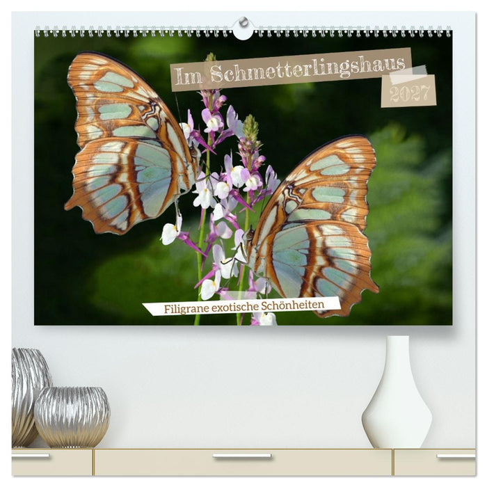 Im Schmetterlingshaus (CALVENDO Premium Wandkalender 2027)