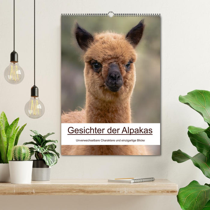 Gesichter der Alpakas - Unverwechselbare Charaktere und einzigartige Blicke (CALVENDO Wandkalender 2027)
