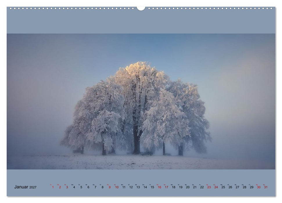 Fogscapes - magische Nebellandschaften (CALVENDO Wandkalender 2027)