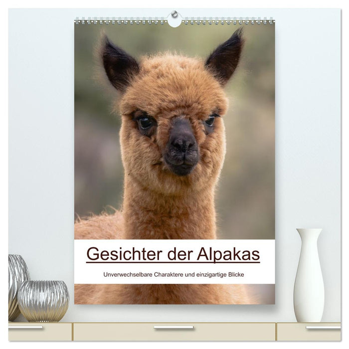 Gesichter der Alpakas - Unverwechselbare Charaktere und einzigartige Blicke (CALVENDO Premium Wandkalender 2027)
