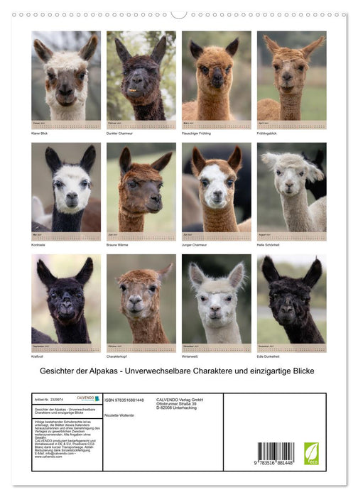Gesichter der Alpakas - Unverwechselbare Charaktere und einzigartige Blicke (CALVENDO Premium Wandkalender 2027)