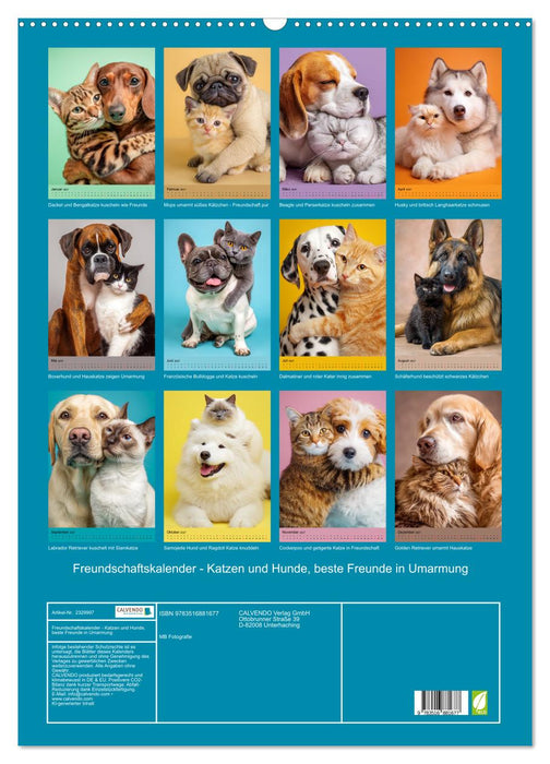 Freundschaftskalender - Katzen und Hunde, beste Freunde in Umarmung (CALVENDO Wandkalender 2027)