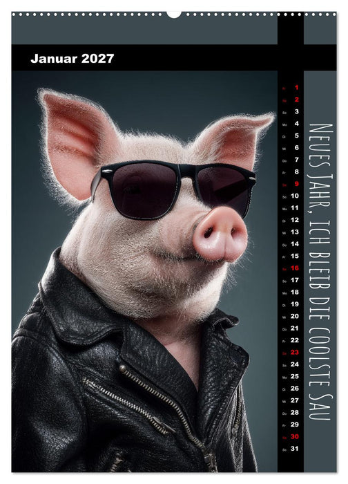 Coole Sau - Lustiger Sprüche Kalender mit witzigen Schweinchen (CALVENDO Wandkalender 2027)