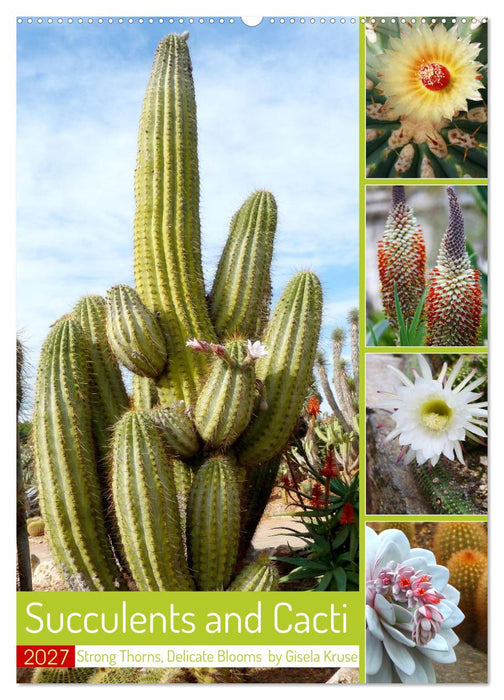 Succulents and Cacti - Strong Thorns, Delicate Blooms (CALVENDO Monthly Calendar 2027)