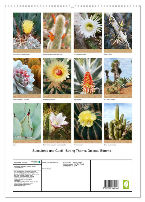 Succulents and Cacti - Strong Thorns, Delicate Blooms (CALVENDO Premium-Calendar 2027)