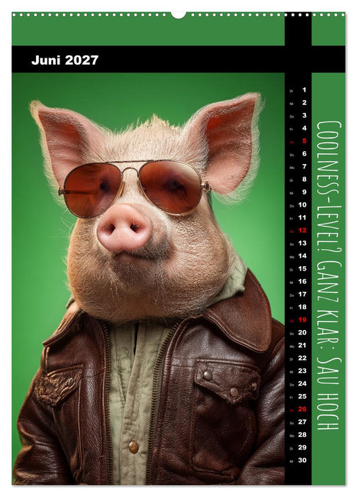 Coole Sau - Lustiger Sprüche Kalender mit witzigen Schweinchen (CALVENDO Premium Wandkalender 2027)