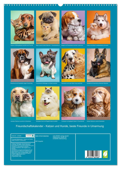 Freundschaftskalender - Katzen und Hunde, beste Freunde in Umarmung (CALVENDO Premium Wandkalender 2027)