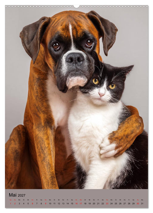 Freundschaftskalender - Katzen und Hunde, beste Freunde in Umarmung (CALVENDO Premium Wandkalender 2027)