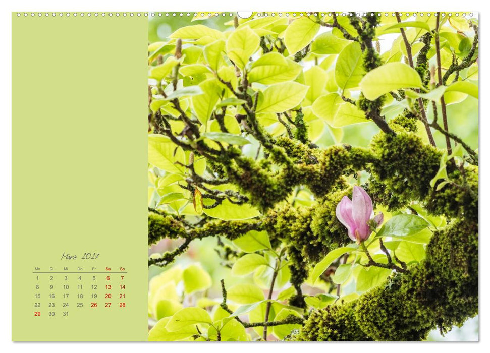 Blütenstil (CALVENDO Premium Wandkalender 2027)