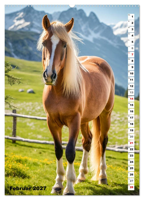 Pferdekalender - Wunderschöne Pferde in Natur und Portraits (CALVENDO Premium Wandkalender 2027)