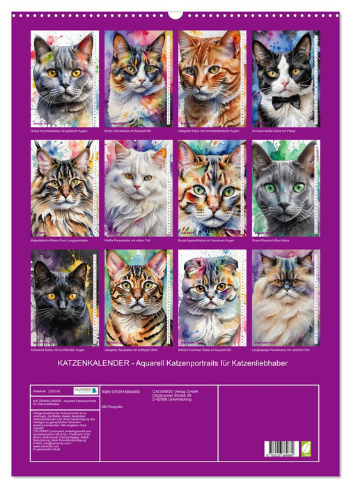 KATZENKALENDER - Aquarell Katzenportraits für Katzenliebhaber (CALVENDO Wandkalender 2027)