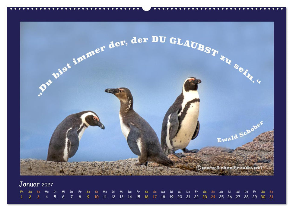 Bewusst leben und glücklich sein (CALVENDO Wandkalender 2027)