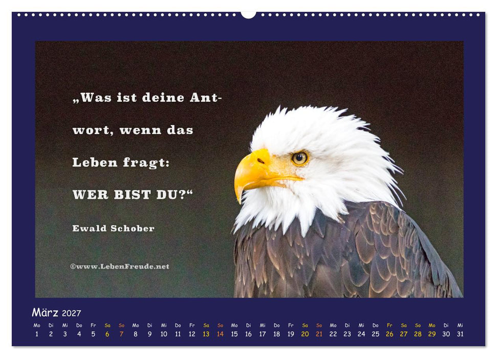 Bewusst leben und glücklich sein (CALVENDO Wandkalender 2027)