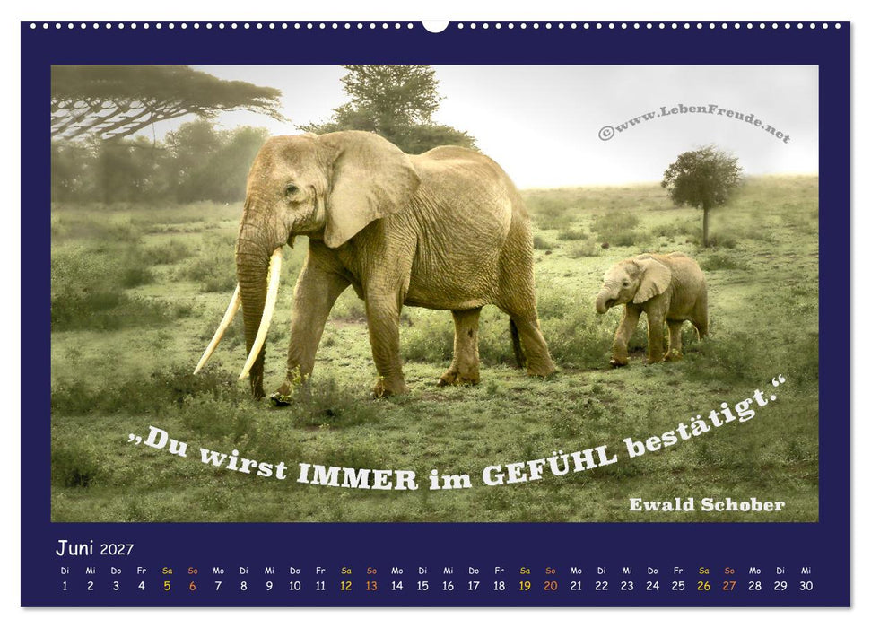 Bewusst leben und glücklich sein (CALVENDO Wandkalender 2027)