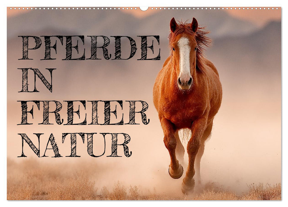 Pferde in freier Natur (CALVENDO Wandkalender 2027)