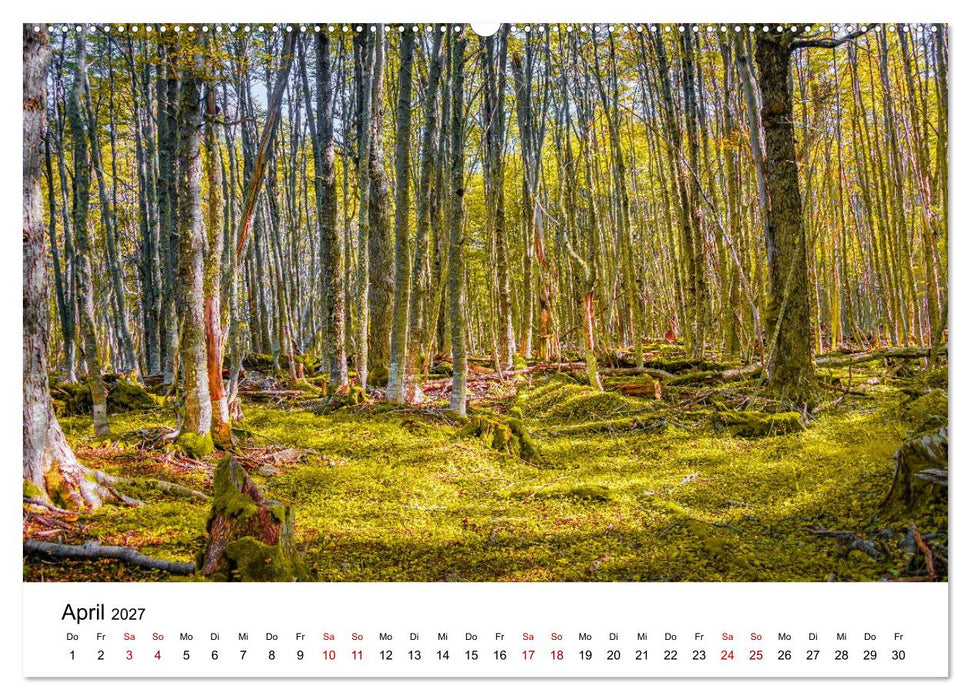 Patagonien, Tierra del Fuego: Am Rand der Welt (CALVENDO Wandkalender 2027)