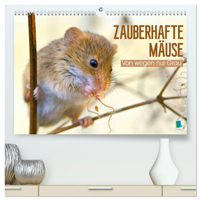 Zauberhafte Mäuse: Von wegen nur Grau (CALVENDO Premium Wandkalender 2027)
