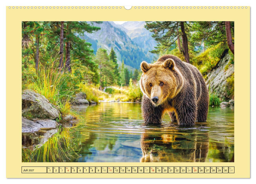Im Herz der Wildnis. Die beeindruckende Stärke und Stille der Bären (CALVENDO Premium Wandkalender 2027)