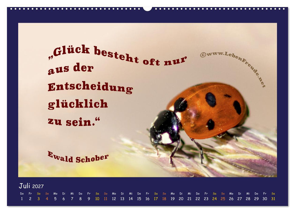 Bewusst leben und glücklich sein (CALVENDO Premium Wandkalender 2027)