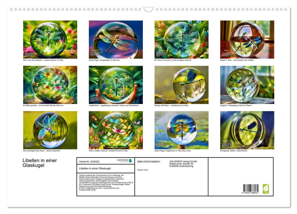 Libellen in einer Glaskugel (CALVENDO Wandkalender 2027)