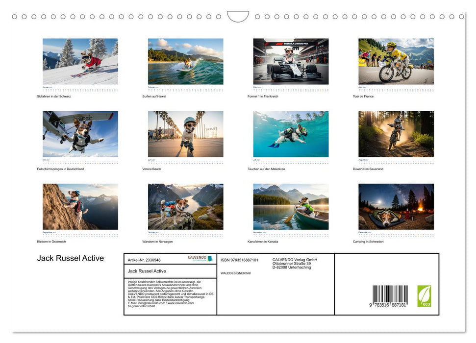 Jack Russel Active (CALVENDO Wandkalender 2027)
