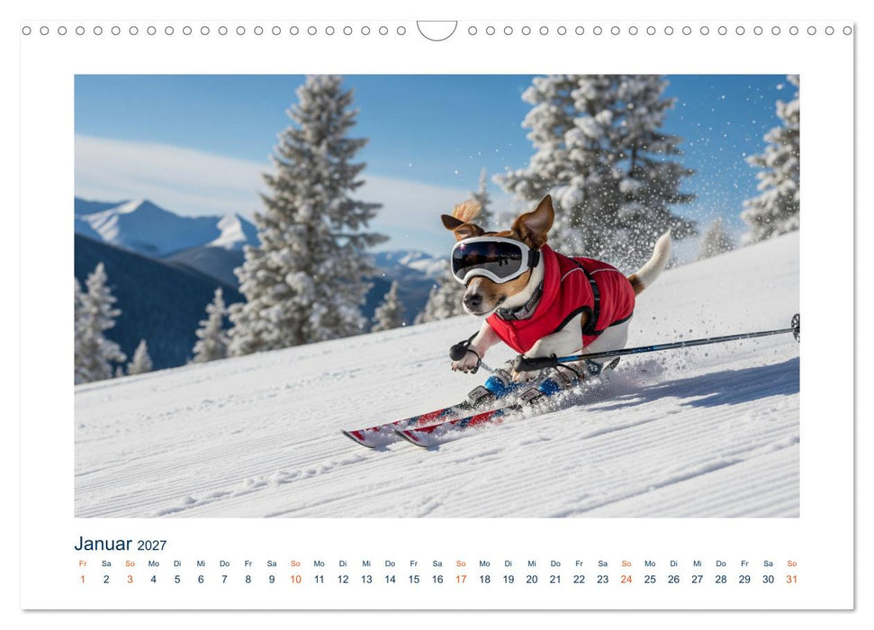 Jack Russel Active (CALVENDO Wandkalender 2027)