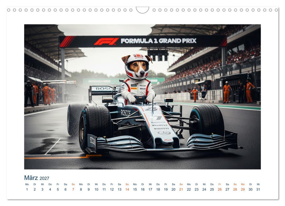 Jack Russel Active (CALVENDO Wandkalender 2027)