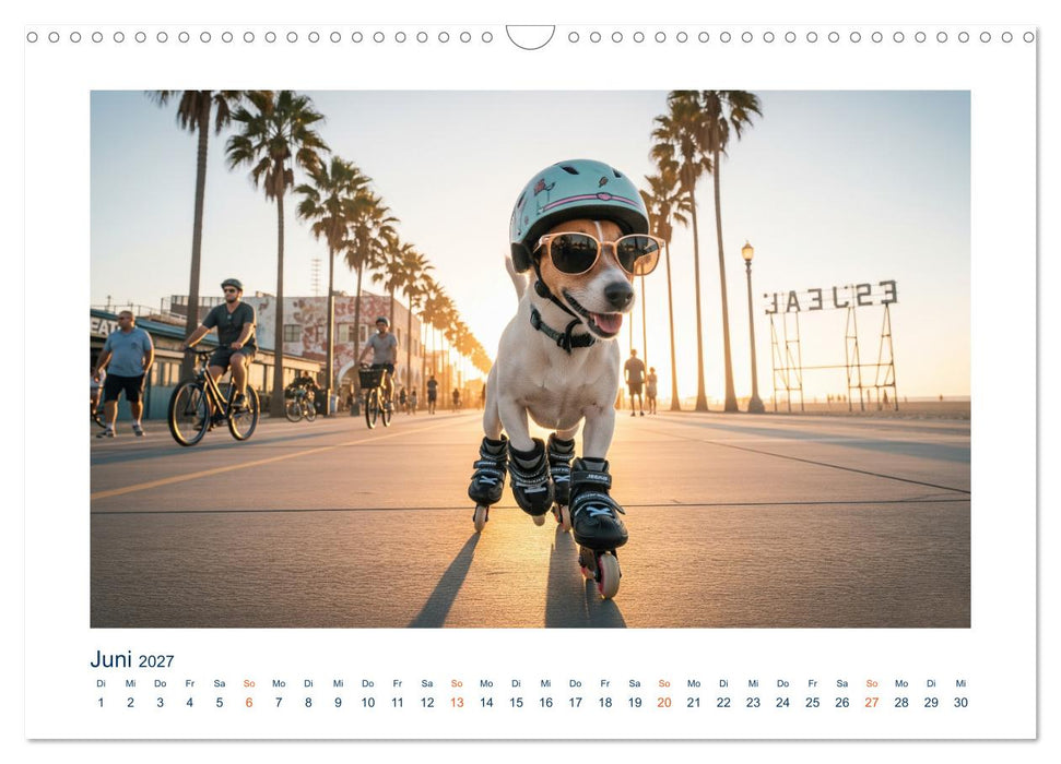 Jack Russel Active (CALVENDO Wandkalender 2027)