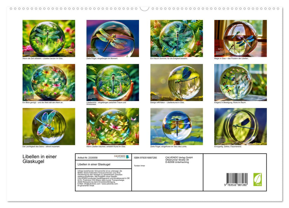 Libellen in einer Glaskugel (CALVENDO Premium Wandkalender 2027)