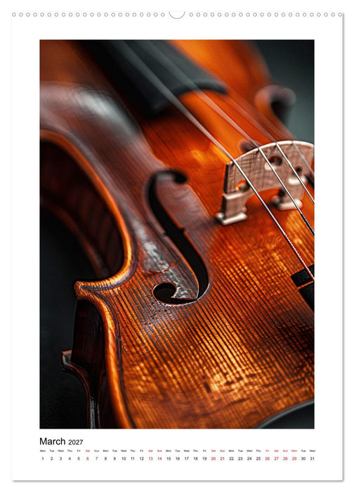 Violin Enjoyment (CALVENDO Monthly Calendar 2027)